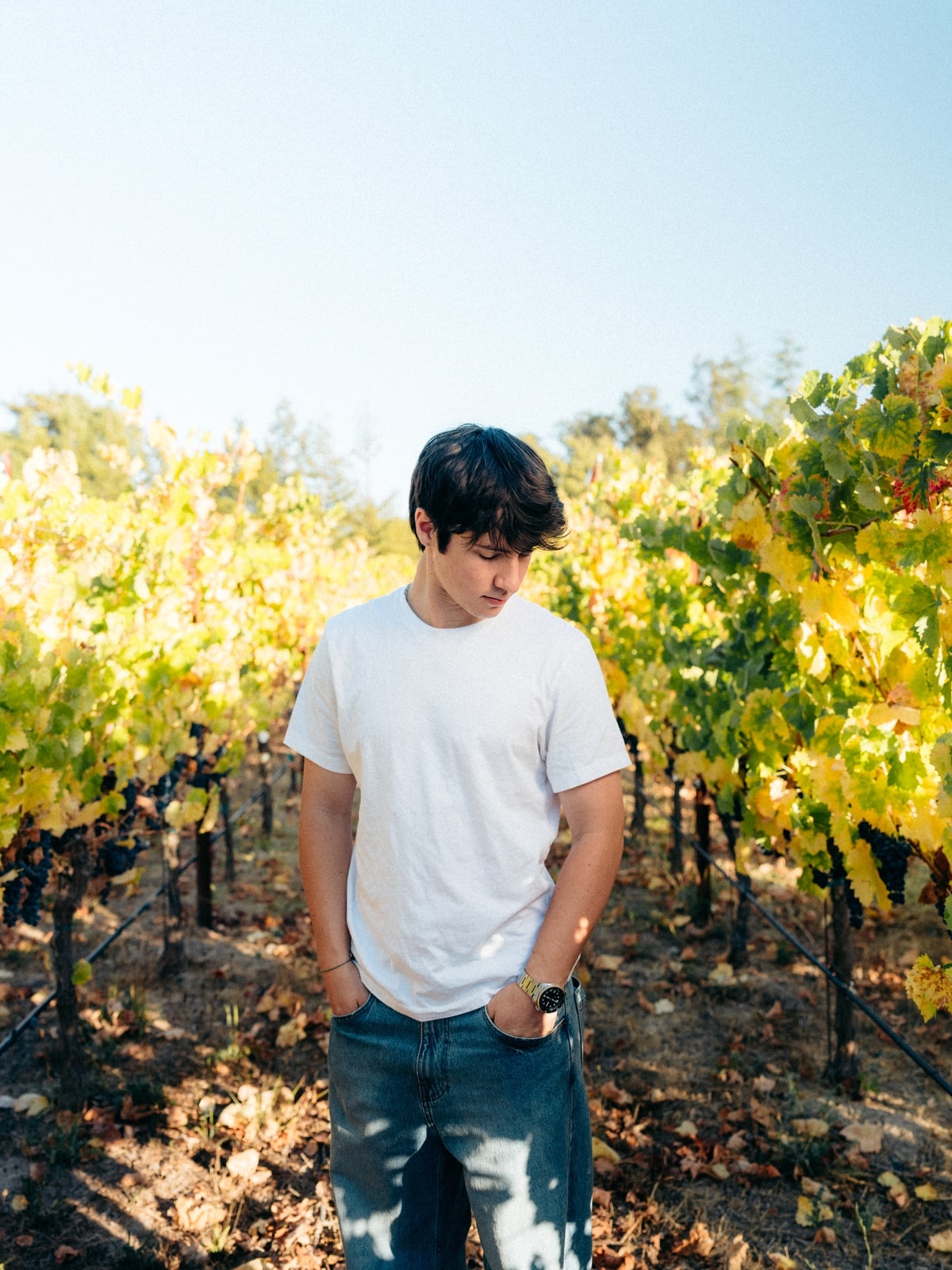 Jonah Kunis in a vineyard, portrait 1 of 4