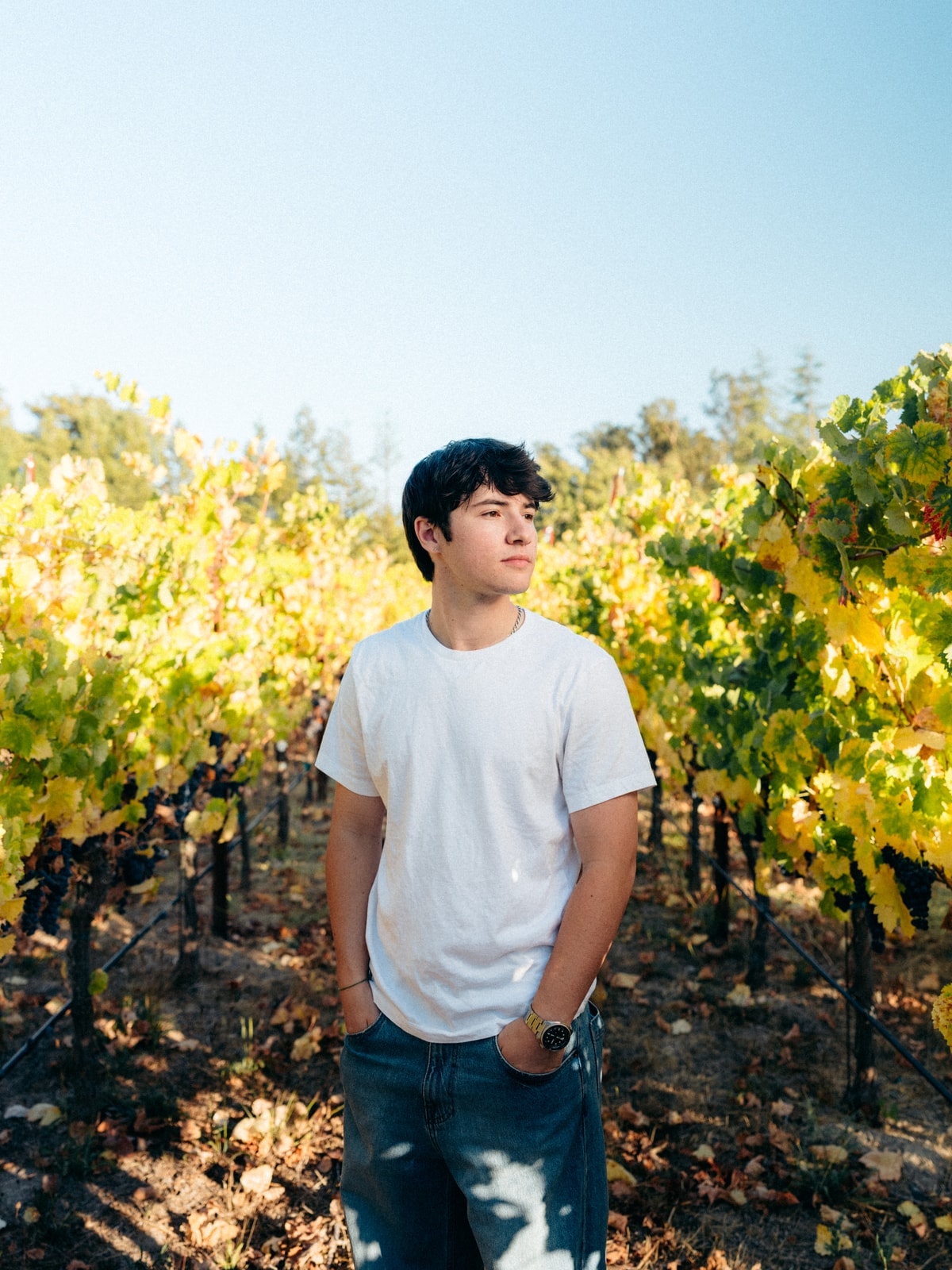 Jonah Kunis in a vineyard, portrait 2 of 4